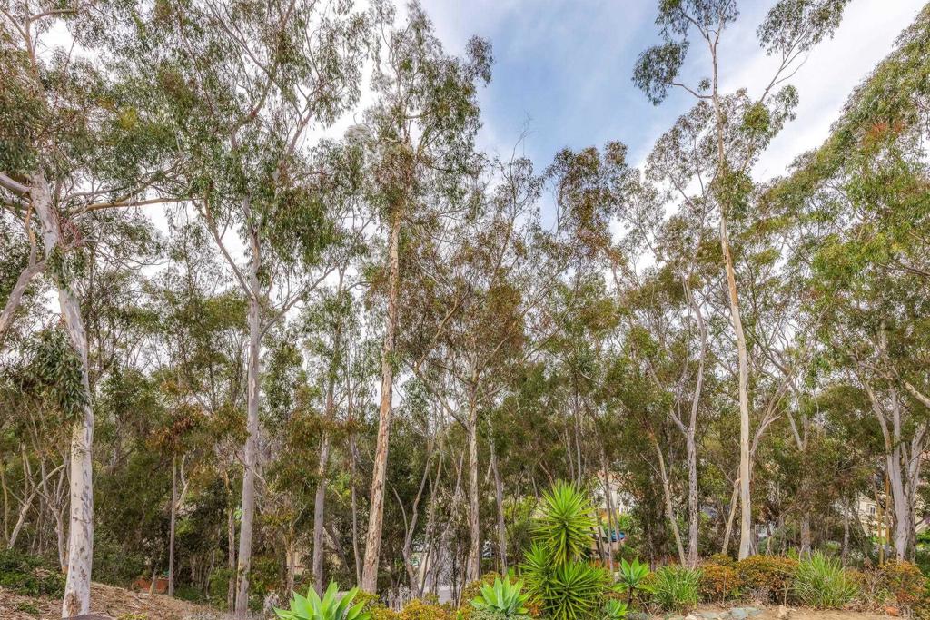 2062 AVENUE OF THE TREES