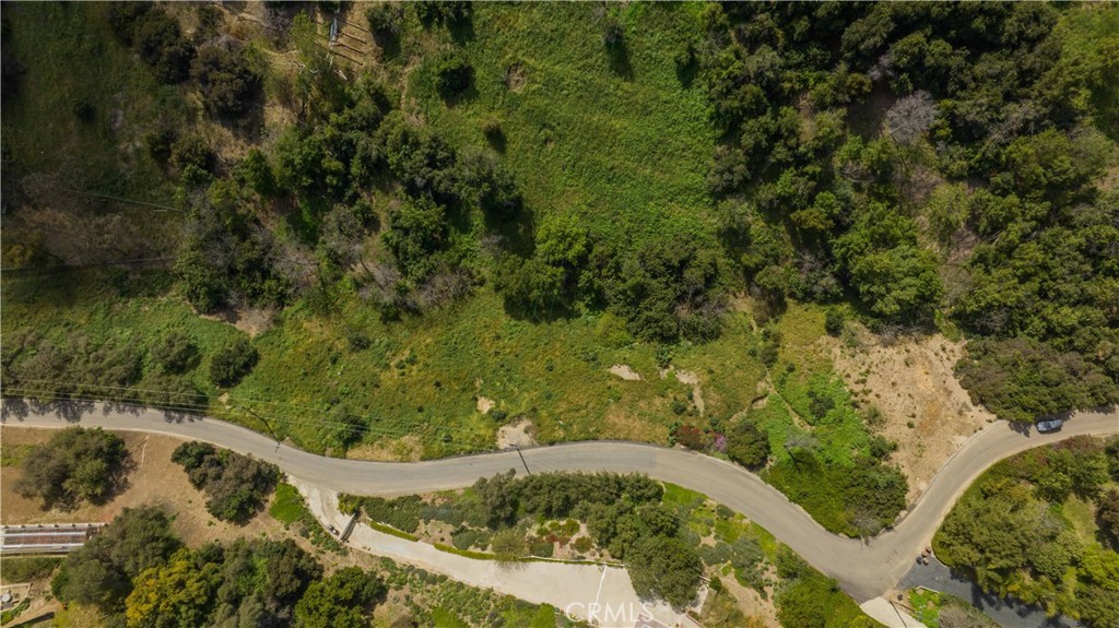 1875 Subtropic Drive