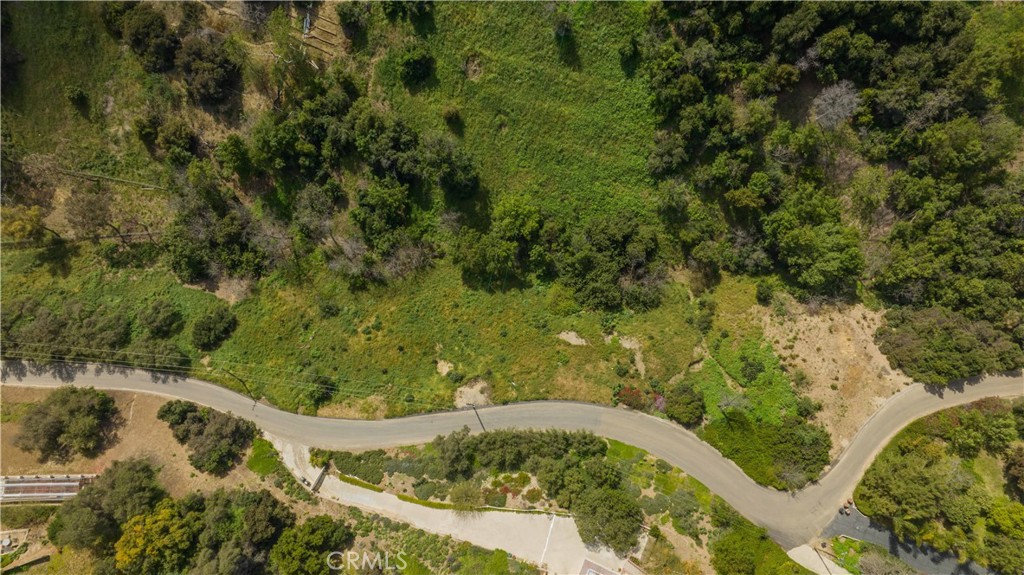 1875 Subtropic Drive