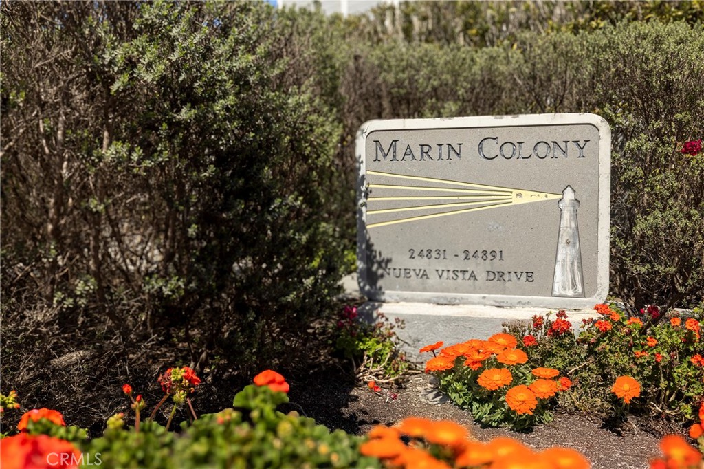 24877 Nueva Vista Drive 23