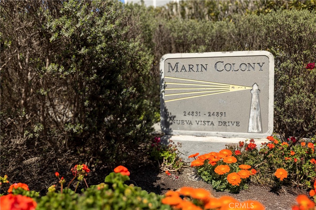 24877 Nueva Vista Drive 23