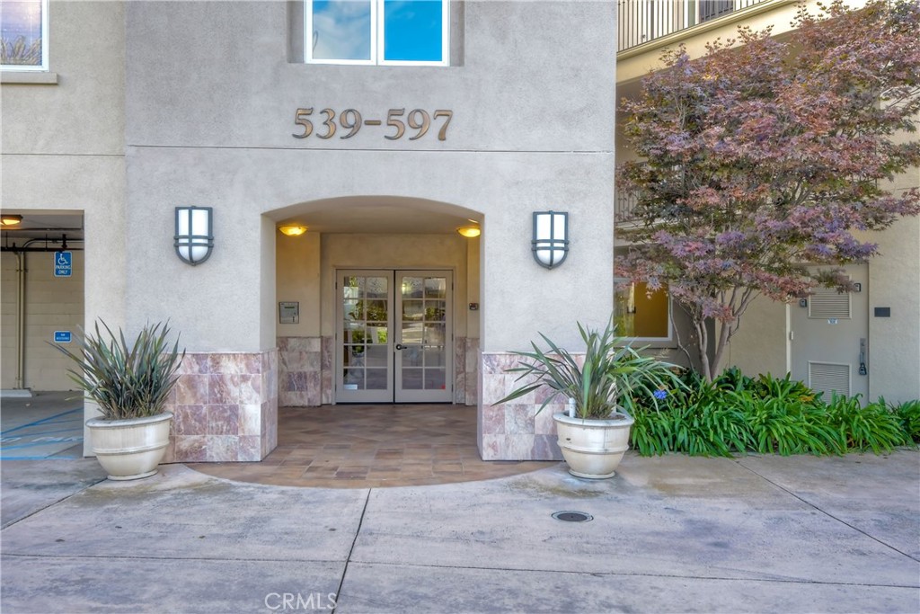 543 LAGUNA Drive