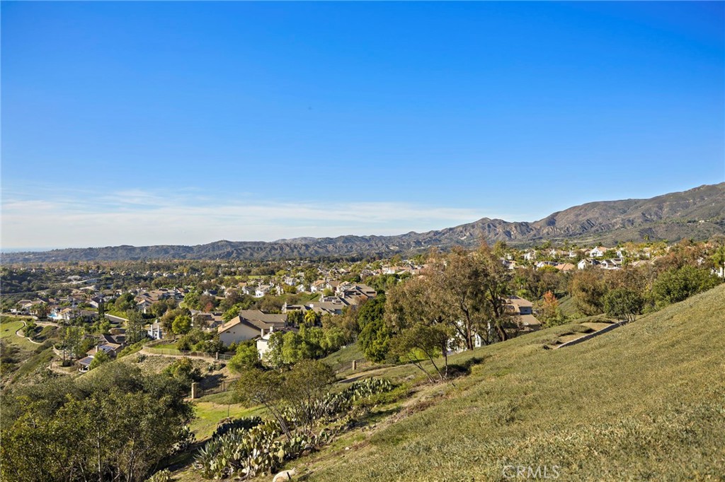 32928 Brookseed Drive