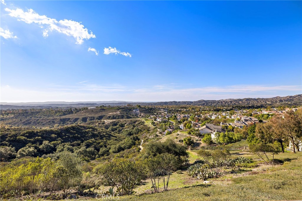 32928 Brookseed Drive