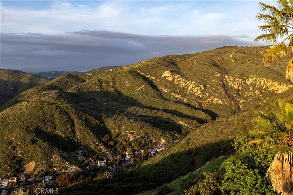 1425 Skyline Drive