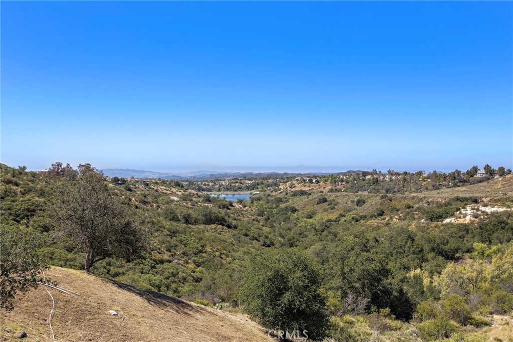21471 Birdhollow Drive