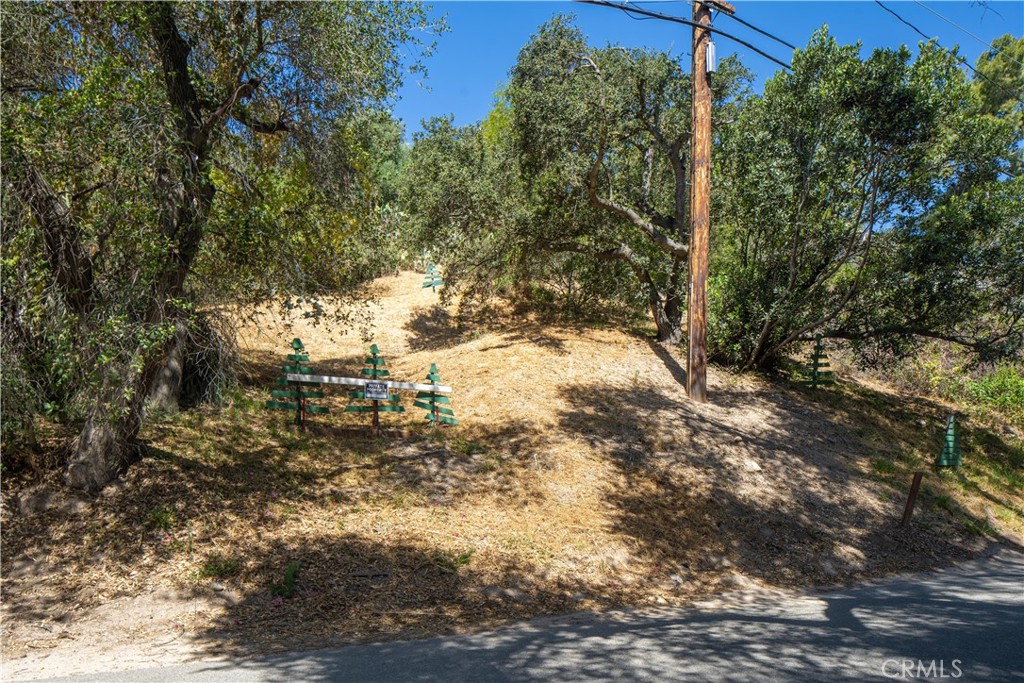 20601 Trabuco Oaks