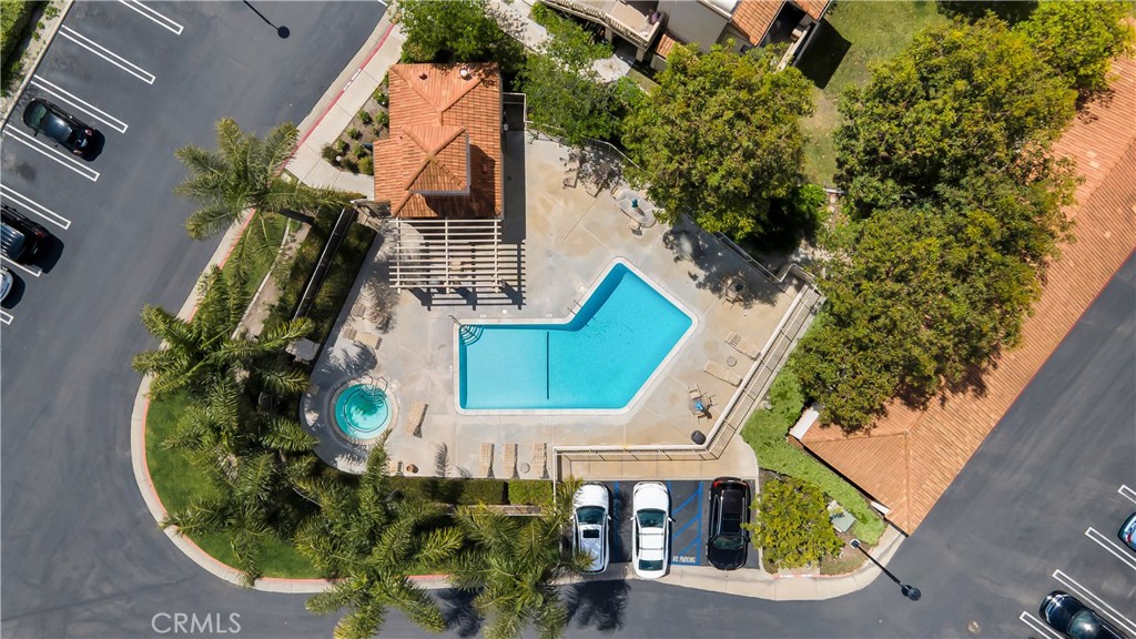 26342 Forest Ridge