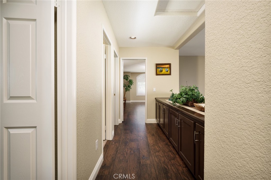2163 Thyme