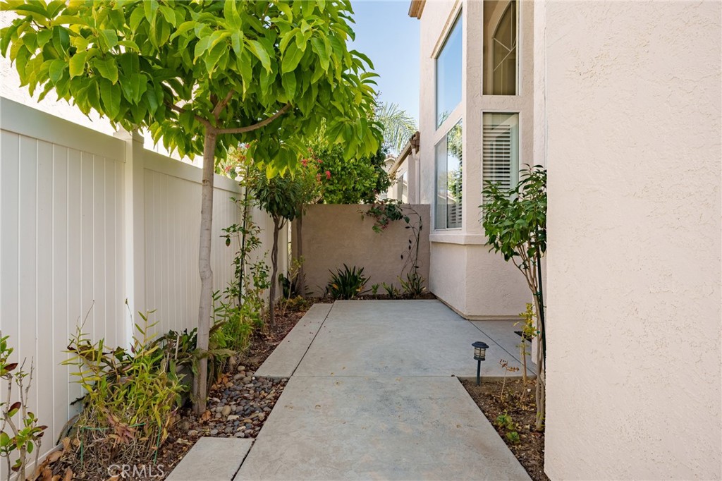 2163 Thyme