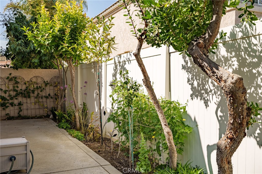 2163 Thyme