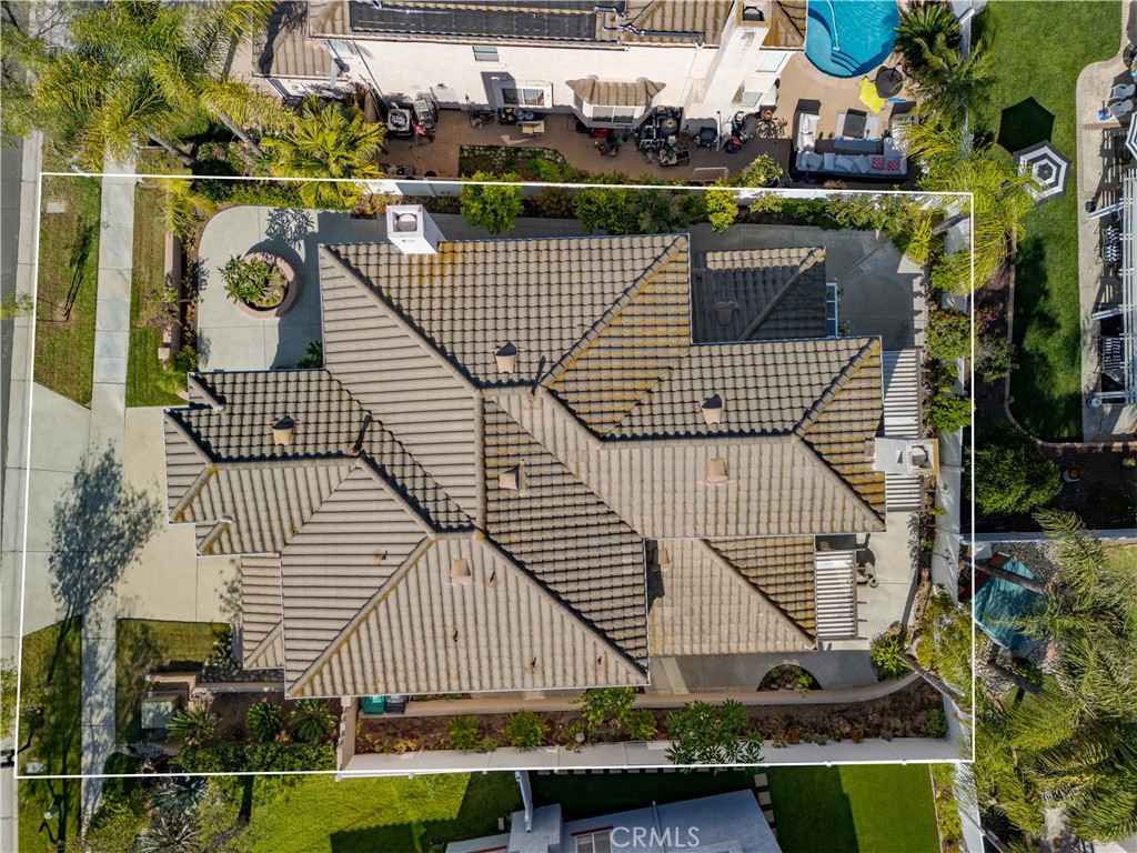 2163 Thyme