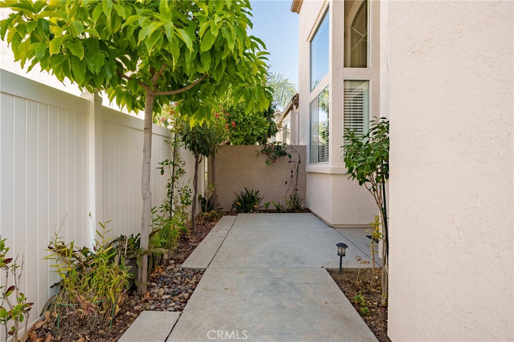 2163 Thyme