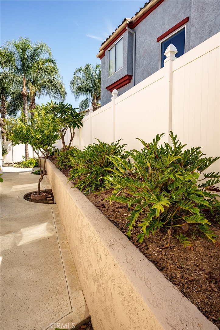 2163 Thyme