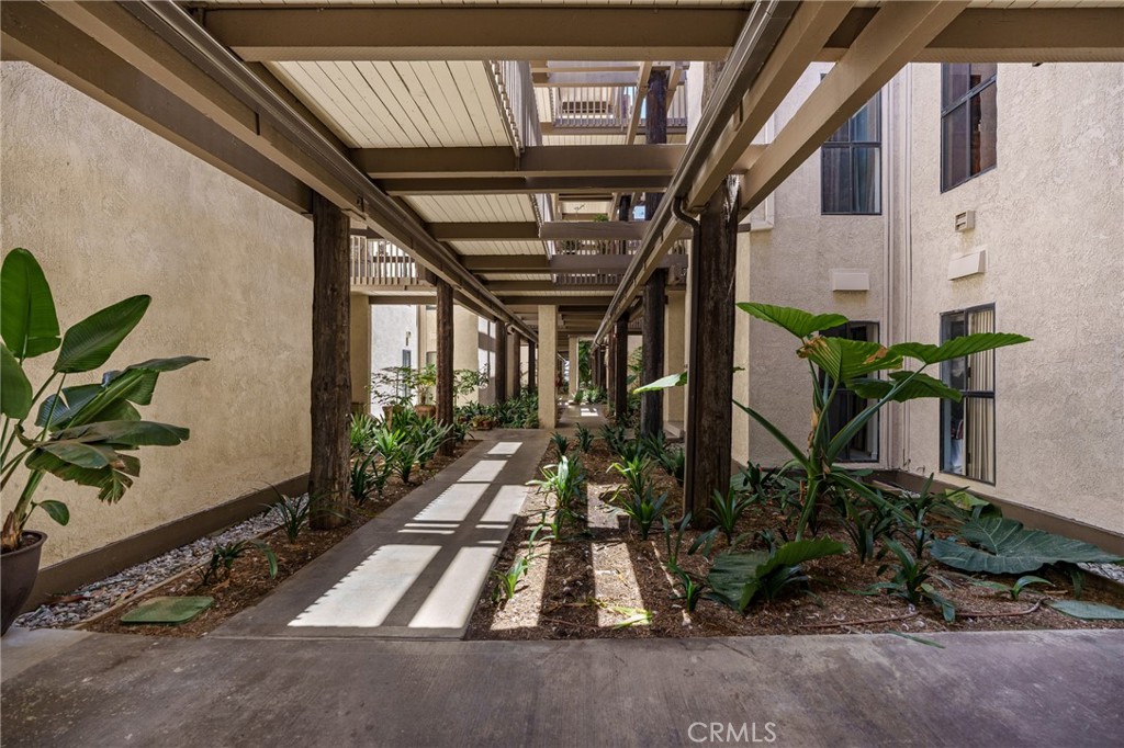 5116 Marina Pacifica N