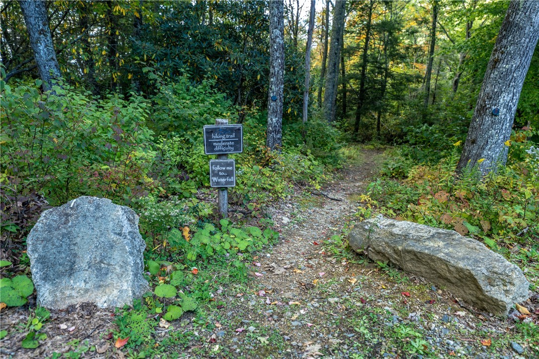 WR44 6964 Beech Mountain Road