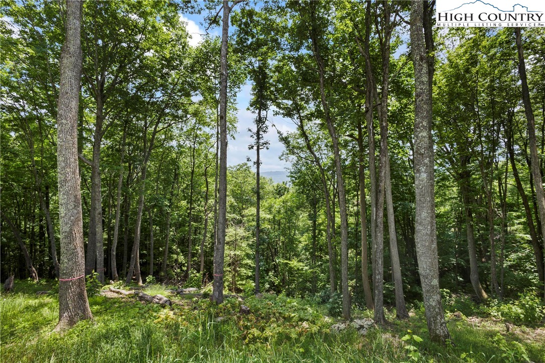 WR44 6964 Beech Mountain Road