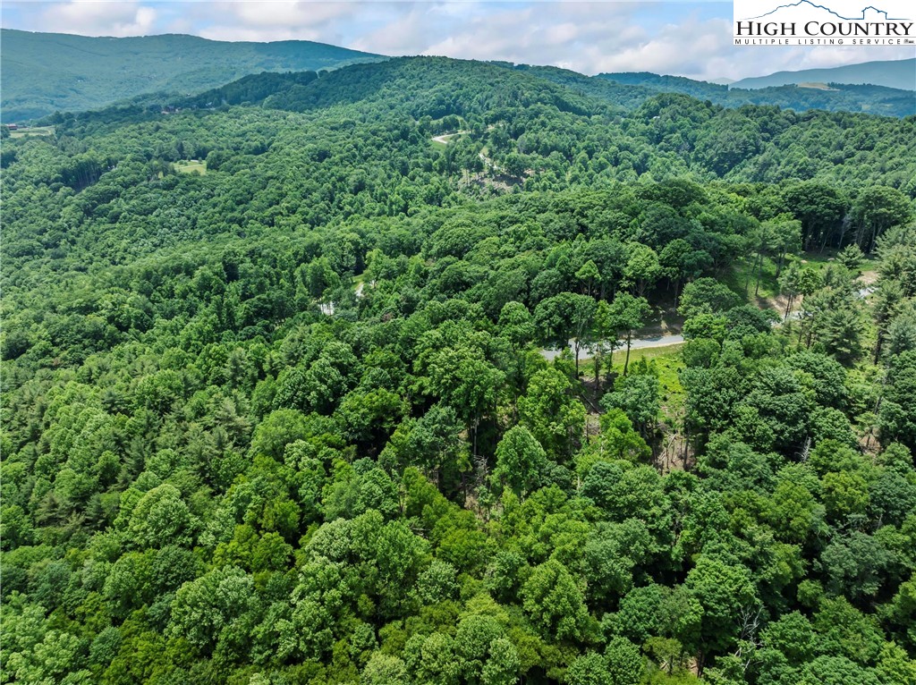 WR44 6964 Beech Mountain Road