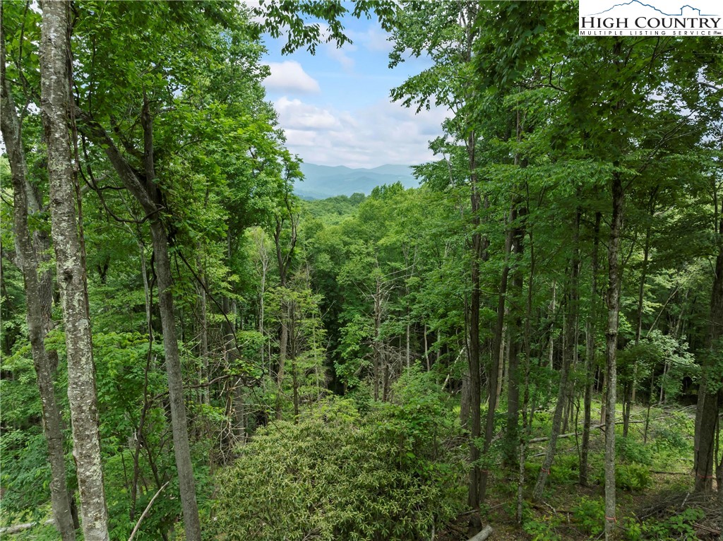 WR44 6964 Beech Mountain Road