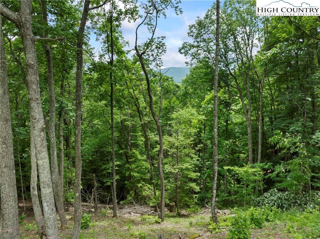 WR44 6964 Beech Mountain Road