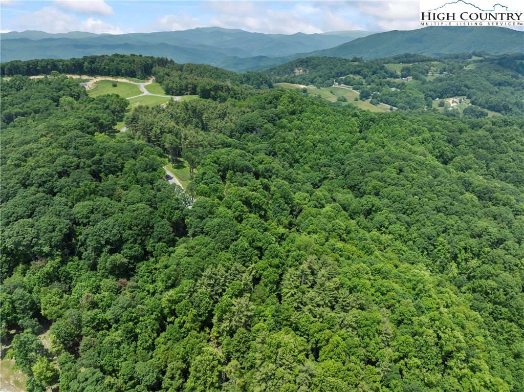 WR44 6964 Beech Mountain Road