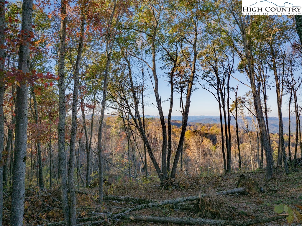Lot 93 Peregrine Trail