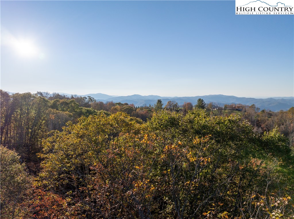 Lot 93 Peregrine Trail