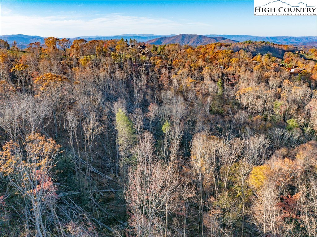Lot 93 Peregrine Trail