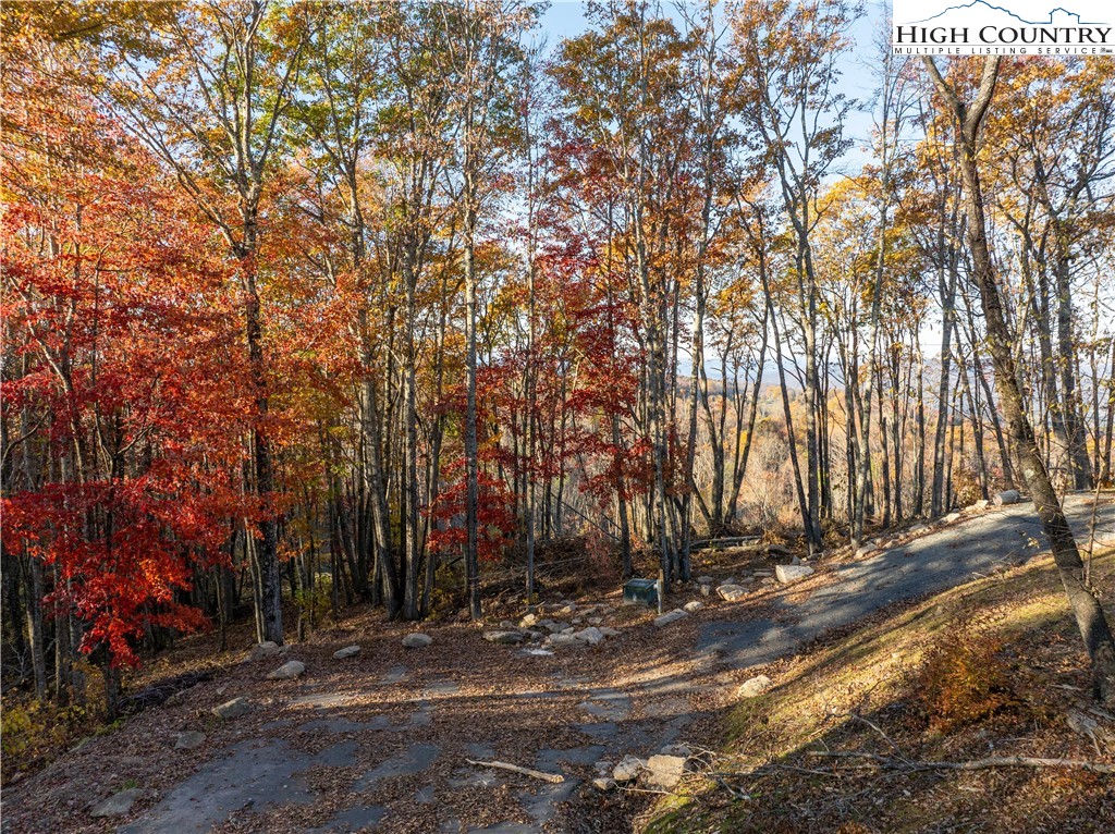 Lot 93 Peregrine Trail