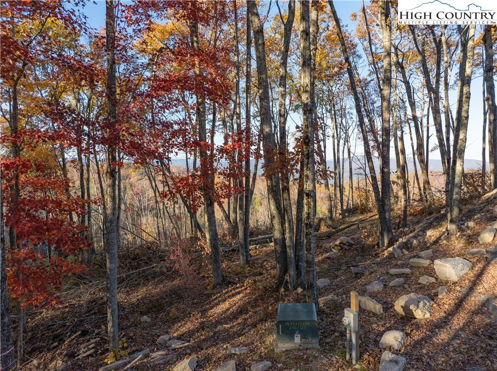 Lot 93 Peregrine Trail
