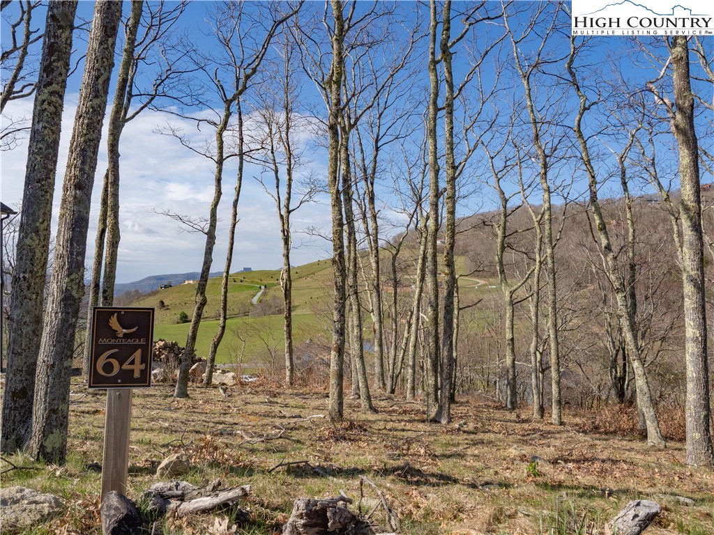 Lot 64 Valley Ridge Court