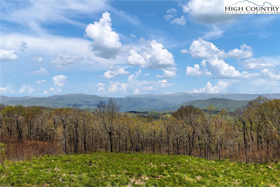 293 Lodge Ridge Trail