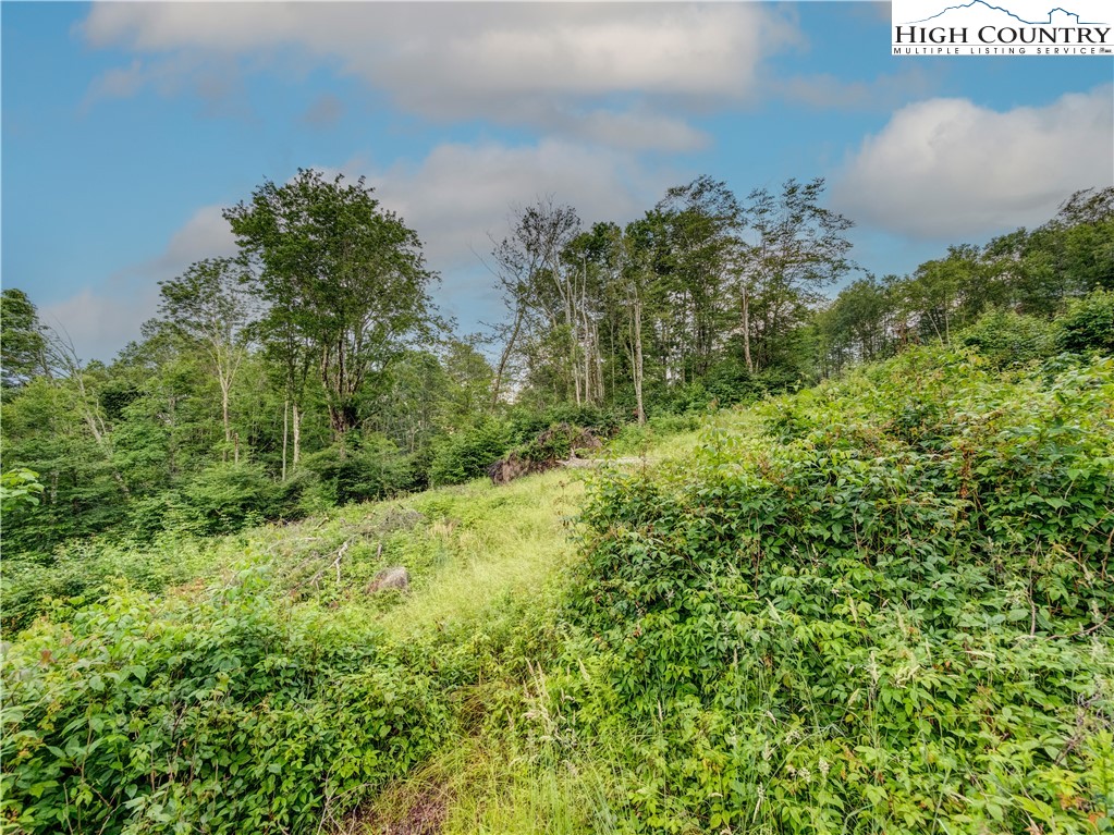 72 Eagle Creek Trail