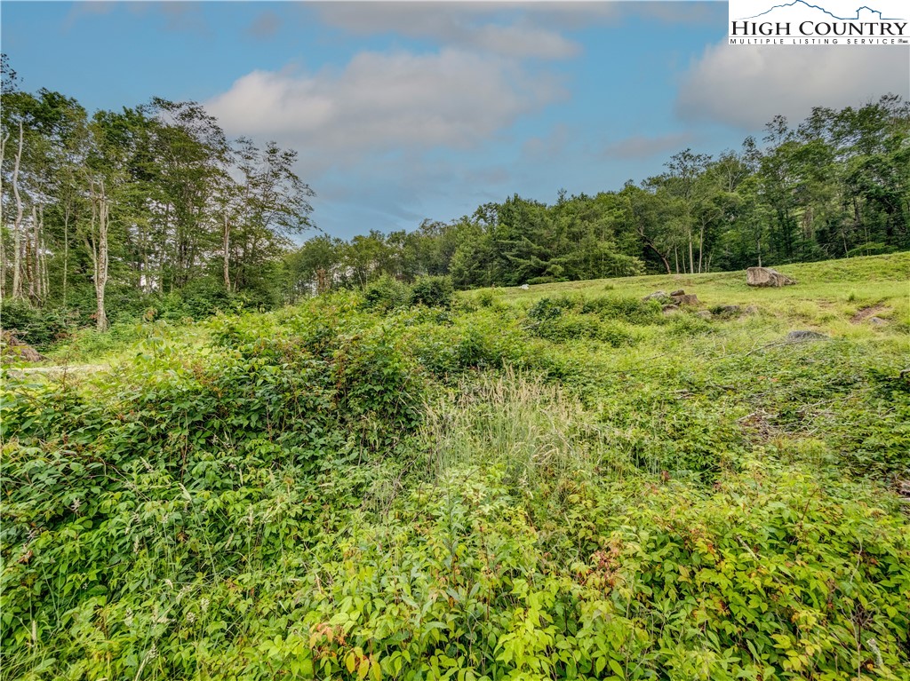72 Eagle Creek Trail