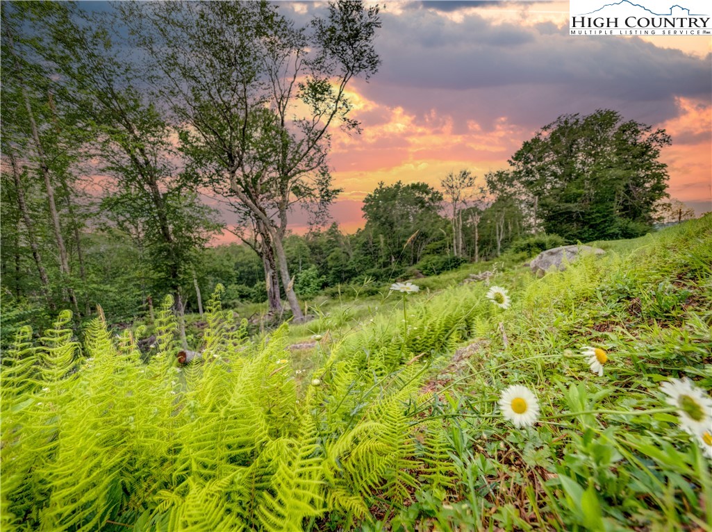 72 Eagle Creek Trail