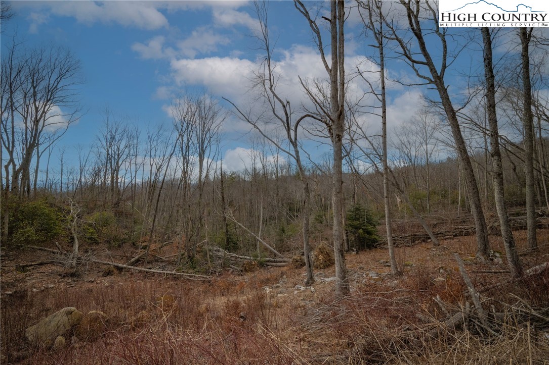 S-103 Talon Trail
