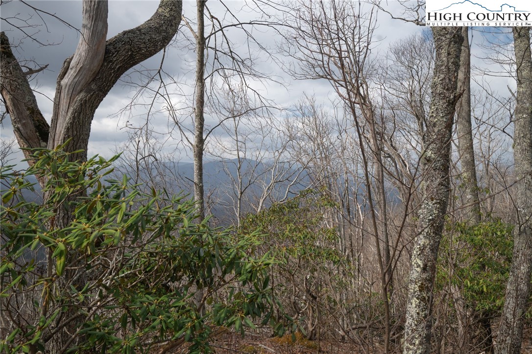 L-59 Eagle Cliff Trail