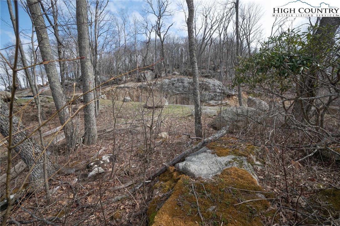 L-59 Eagle Cliff Trail