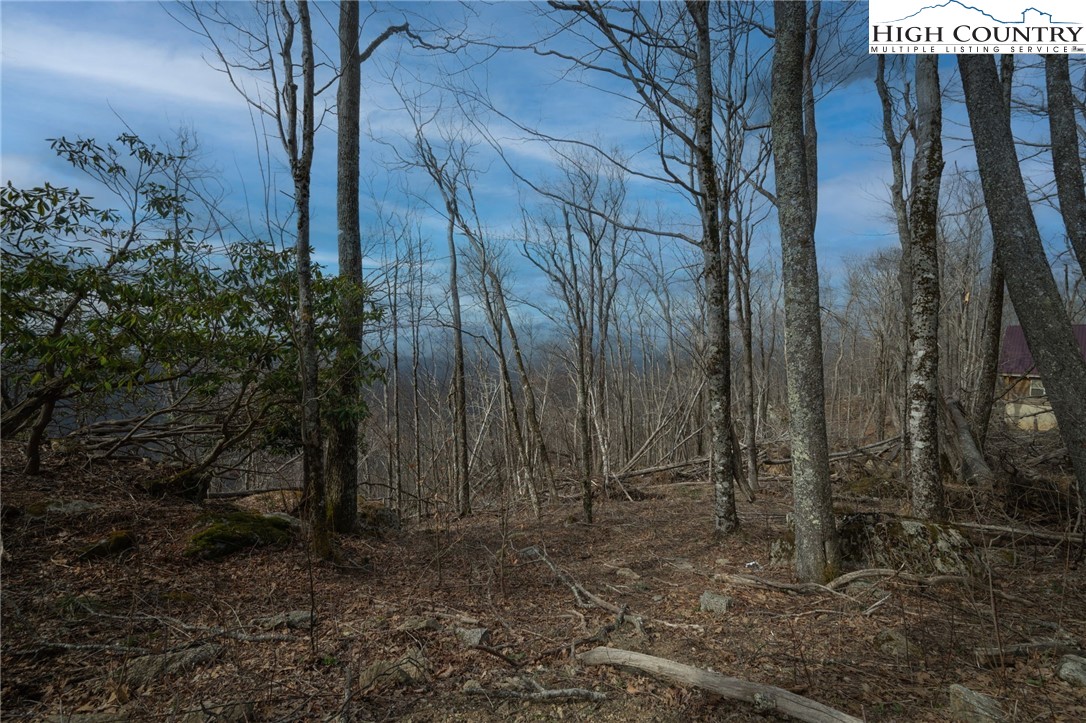 L-59 Eagle Cliff Trail
