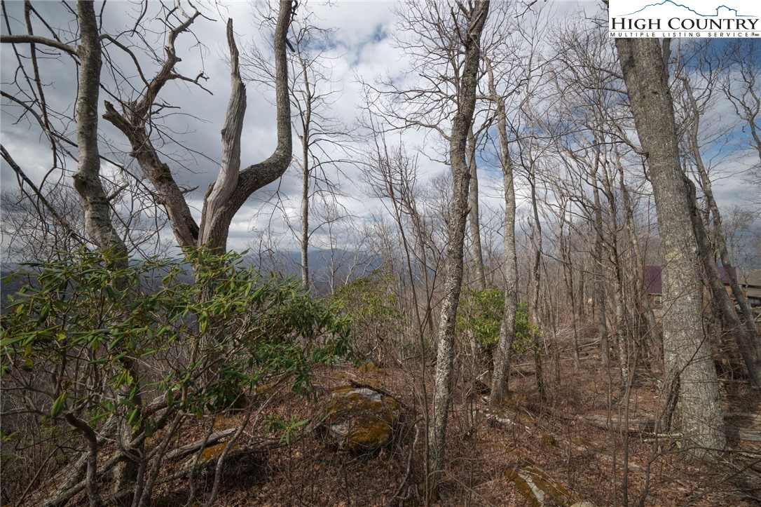L-59 Eagle Cliff Trail