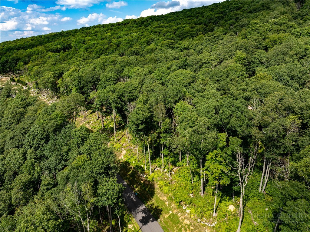 S-92 Talon Trail