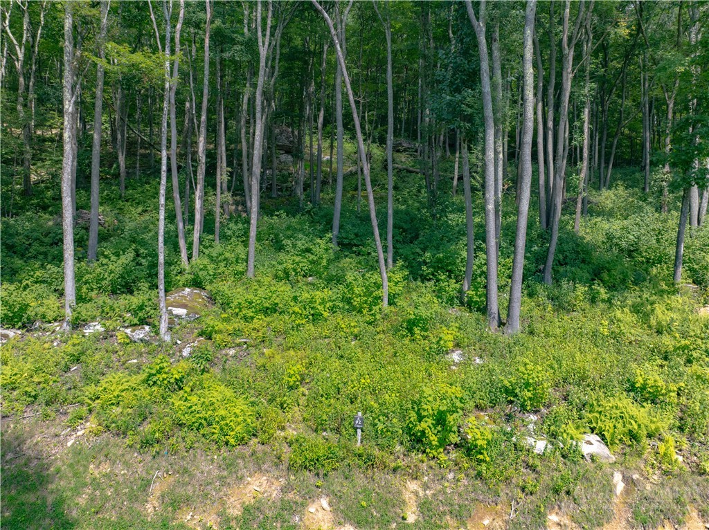 S-92 Talon Trail