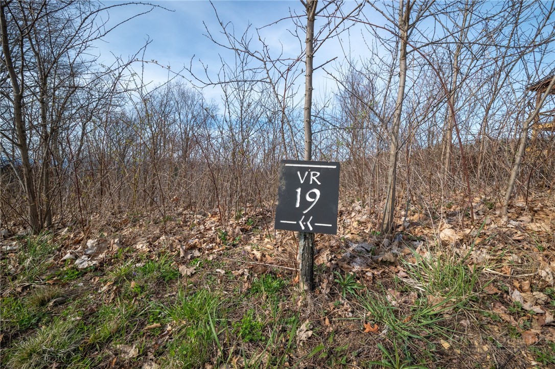 VR-19 Fernwood Trail