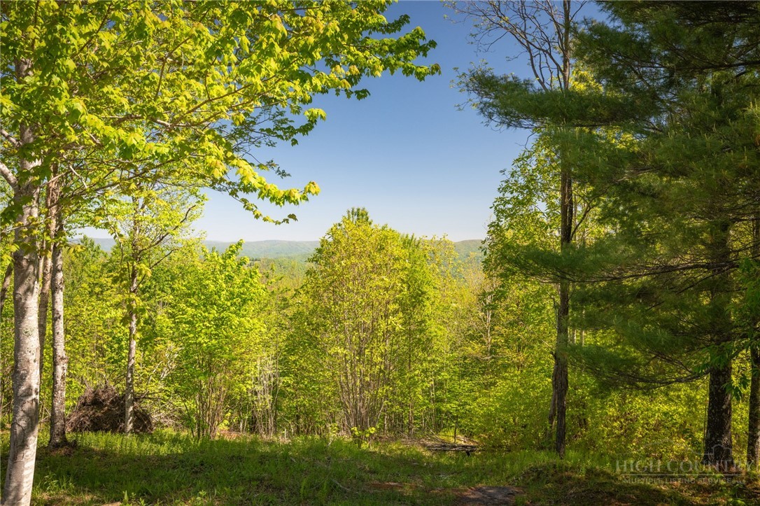 53 Eagle Creek Trail