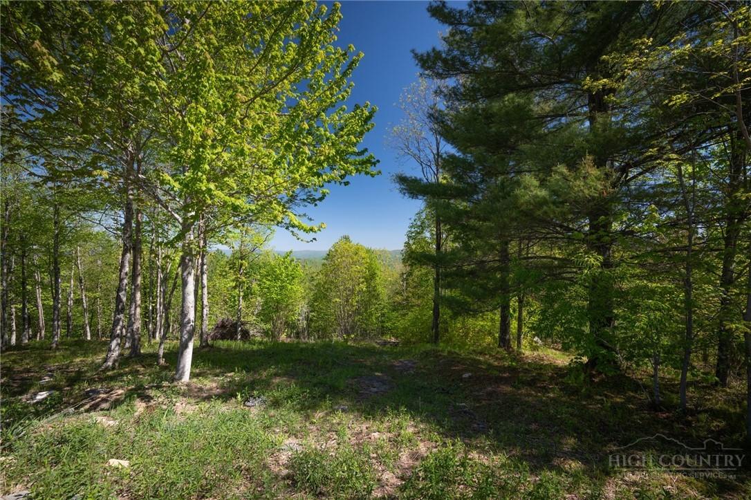 53 Eagle Creek Trail