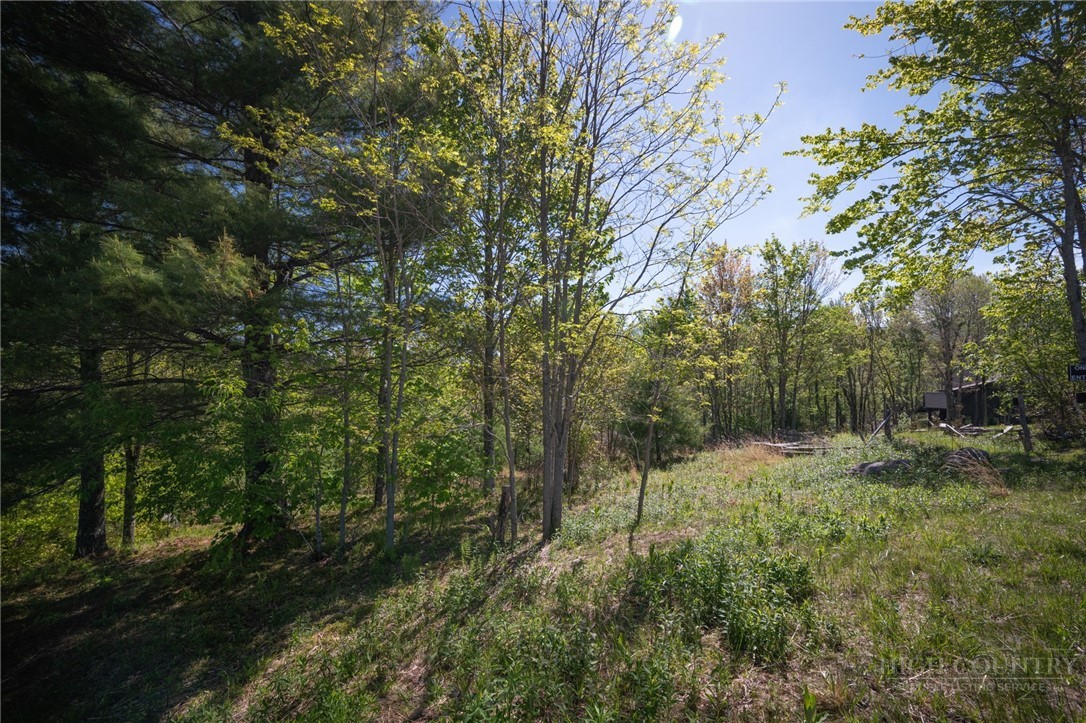 53 Eagle Creek Trail