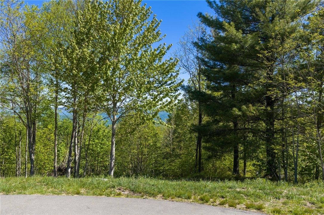 53 Eagle Creek Trail