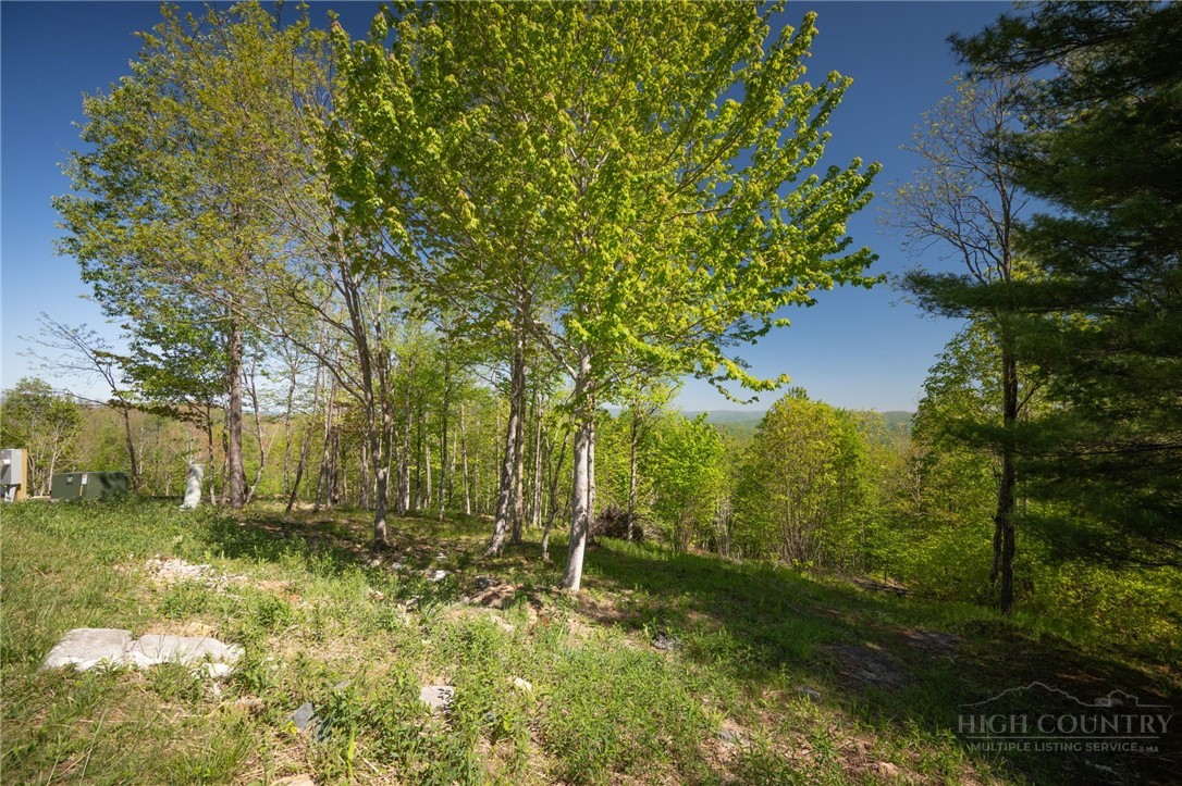 53 Eagle Creek Trail