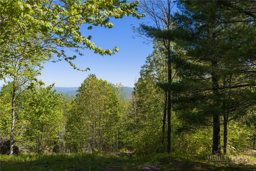 53 Eagle Creek Trail