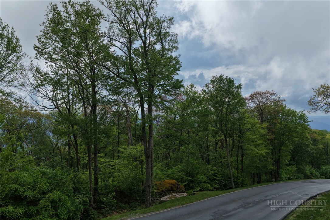 Lot 36 Eagles Nest Trail